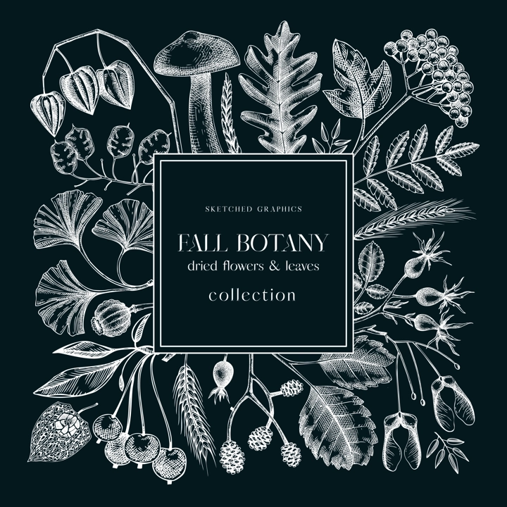 Autumn wreath with fall leaves and dried flowers. Thanksgiving banner design. Fall card or invitation. Sketched dried herbs, falling leaves, mushrooms, seeds frame. Black and white illustration